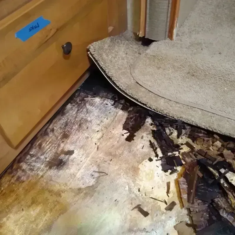 Wood Floor Water Damage in Hernando Beach, FL